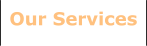 Our Services